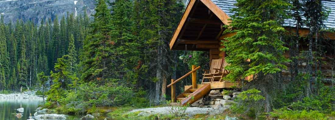 Log cabin hidden in the trees. Find Cabin insurance.